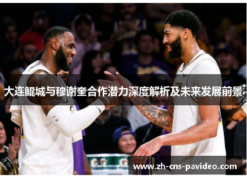 大连鲲城与穆谢奎合作潜力深度解析及未来发展前景