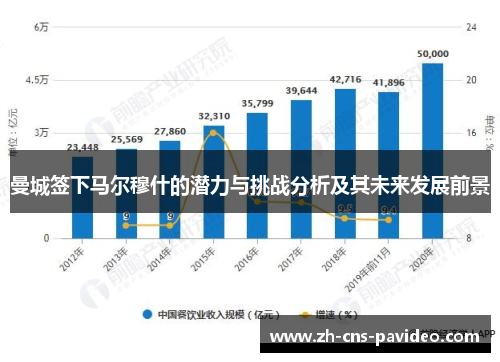 曼城签下马尔穆什的潜力与挑战分析及其未来发展前景