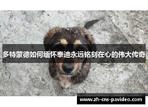 多特蒙德如何缅怀泰迪永远铭刻在心的伟大传奇
