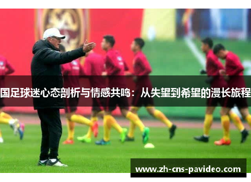 国足球迷心态剖析与情感共鸣：从失望到希望的漫长旅程