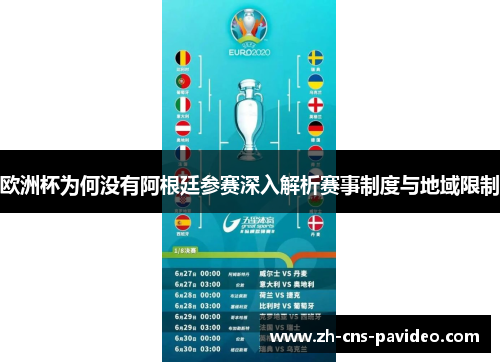 欧洲杯为何没有阿根廷参赛深入解析赛事制度与地域限制